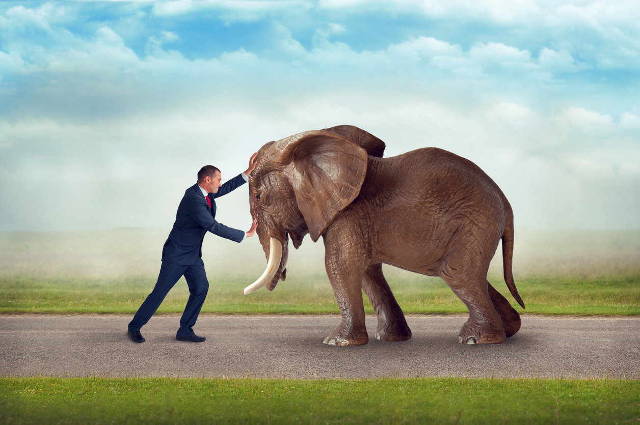 move-an-elephant-motivating-employees