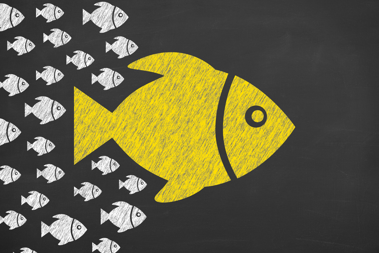 A team follows the leader's example