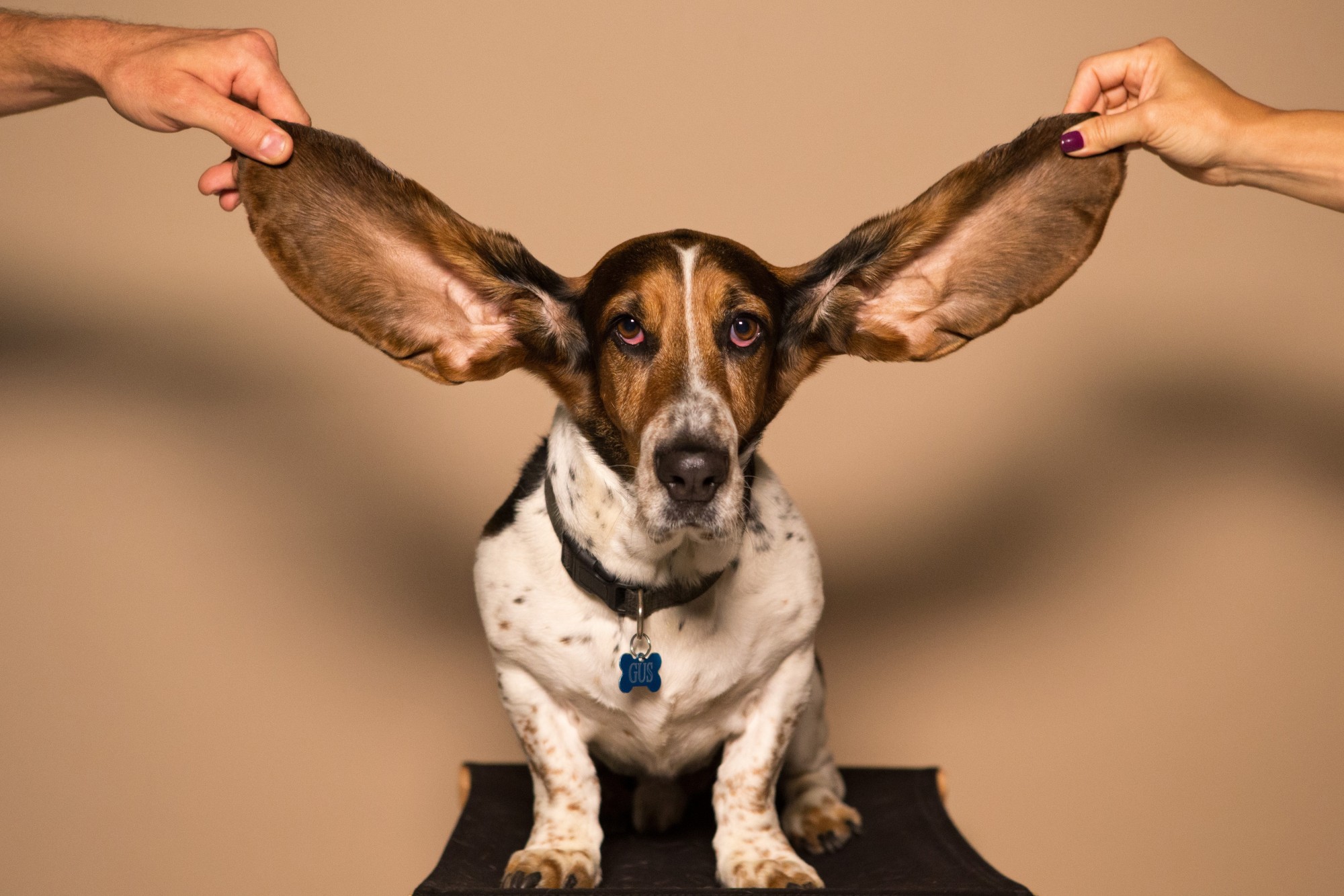 As a new leader, take time to hear from your employees.