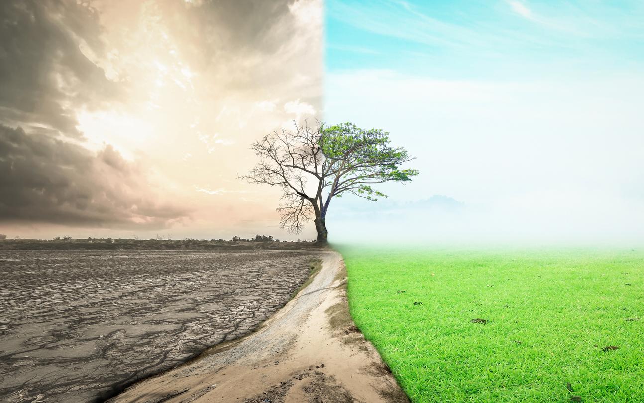 changing landscape from dead low performing to vibrant high performing